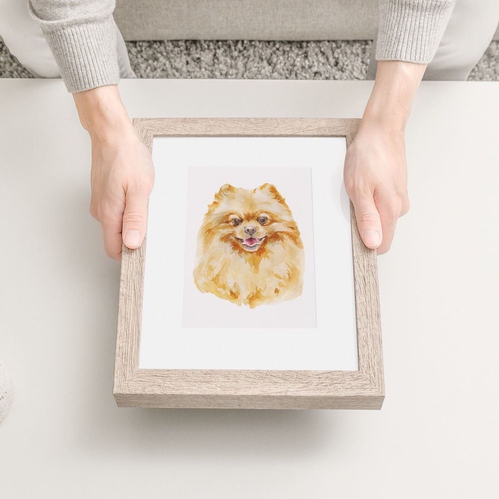 Watercolor Pomeranian Red Dog Wall Art Illustration Print Poster Card Unframed - Picture 6 of 7